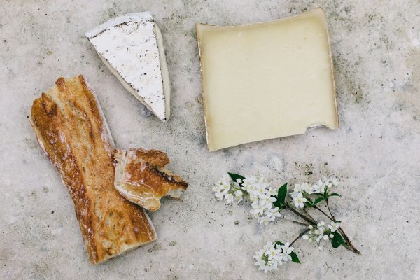 Où apprendre la fabrication de fromage de chèvre en Provence, France?